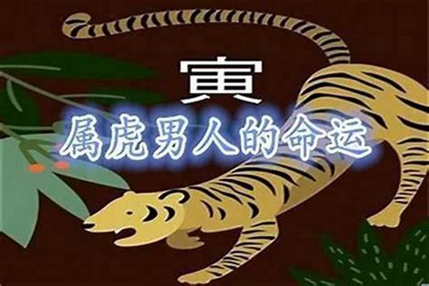 老虎五行|生肖属虎人五行分析